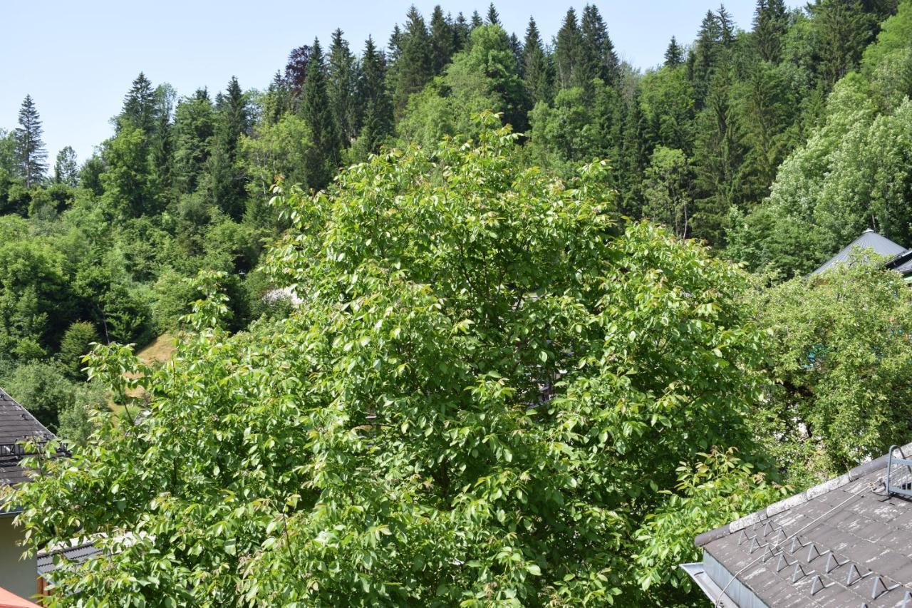 Fruehstueckspension Josefinum